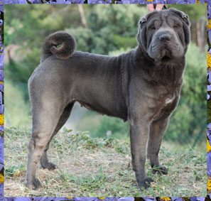 Epics Sweet Song of the Blue Ebony